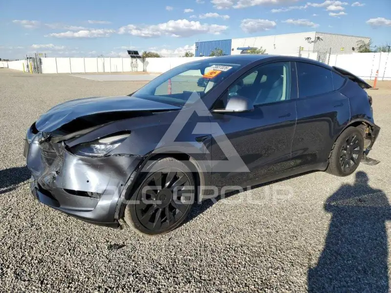 2021 Tesla Model Y photo