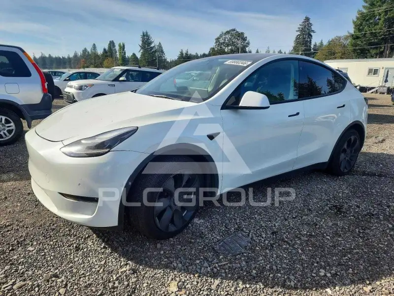 2021 Tesla Model Y фото