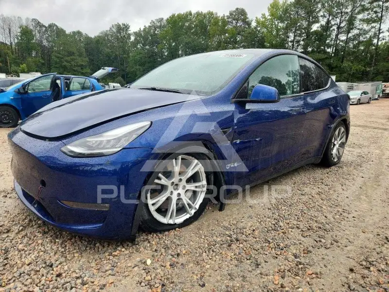 2021 Tesla Model Y фото