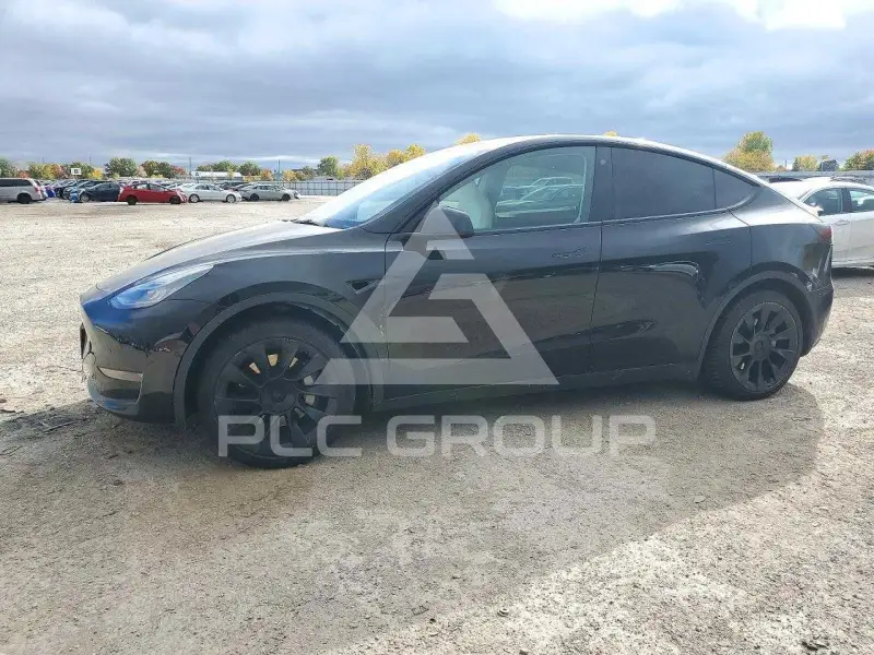 2021 Tesla Model Y фото