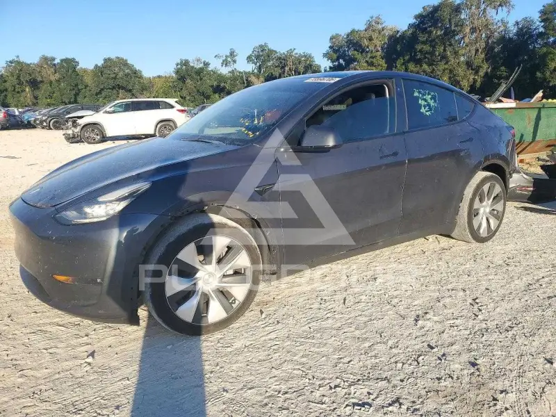 2021 Tesla Model Y photo