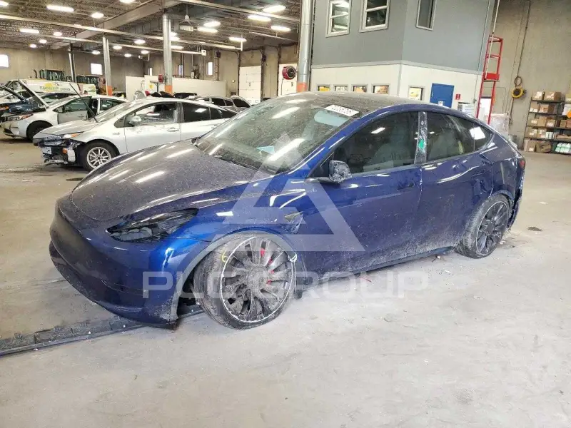 2021 Tesla Model Y фото