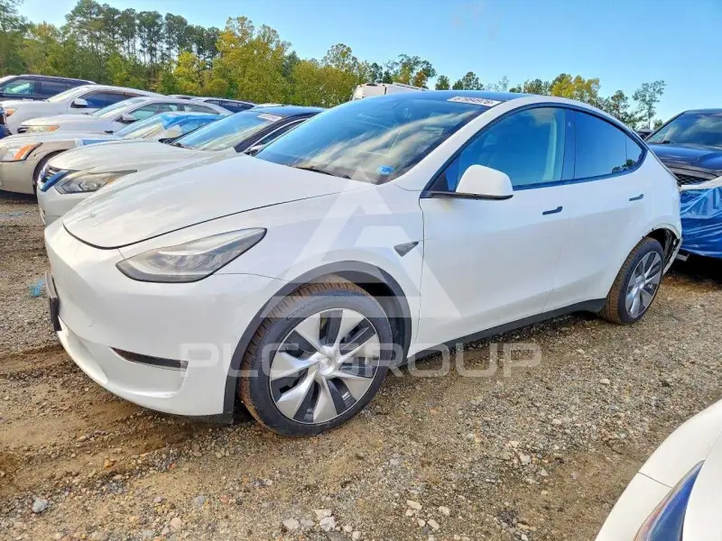 2021 Tesla Model Y фото