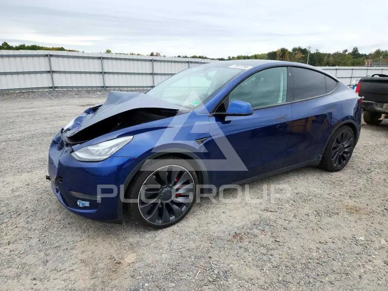 2021 Tesla Model Y photo
