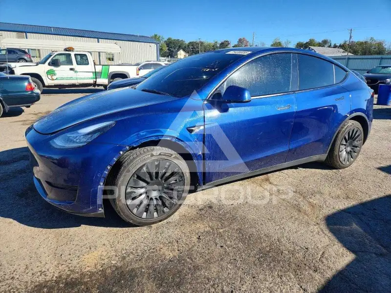 2021 Tesla Model Y фото