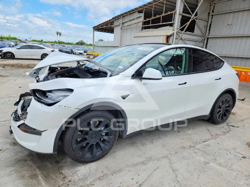 2021 Tesla Model Y фото