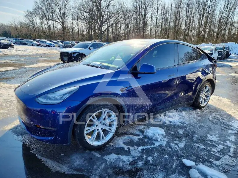 2021 Tesla Model Y фото