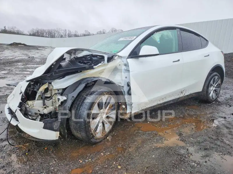 2021 Tesla Model Y photo