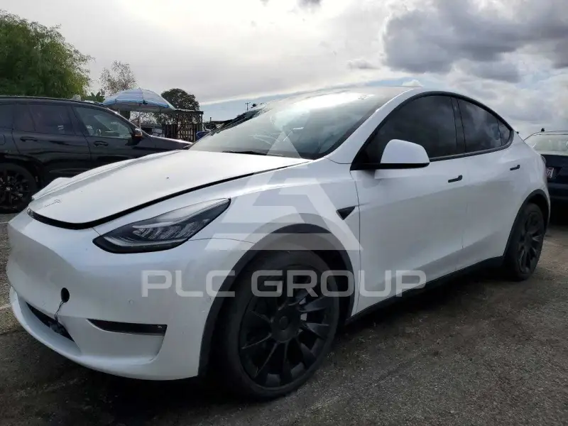 2021 Tesla Model Y фото