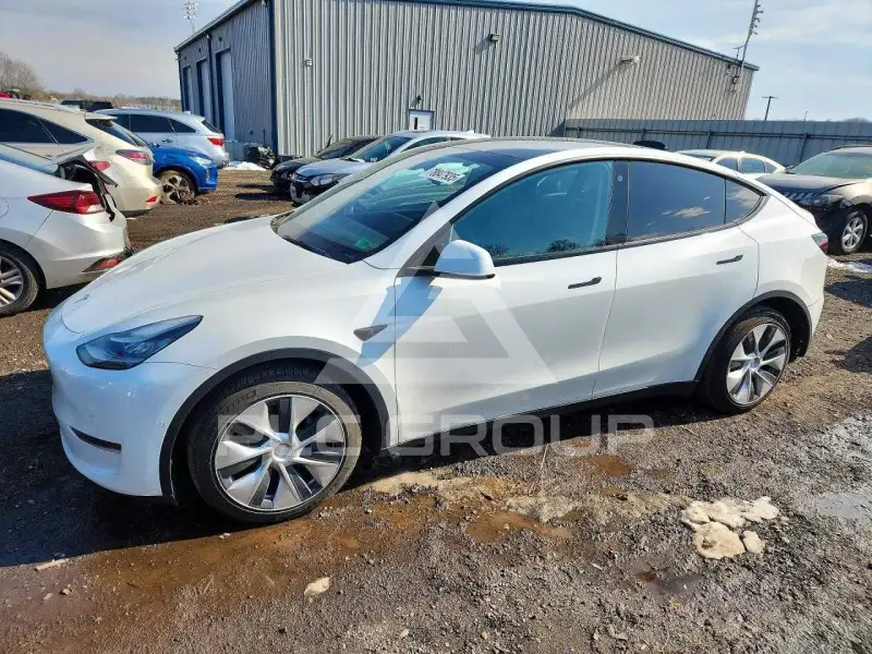 2021 Tesla Model Y фото