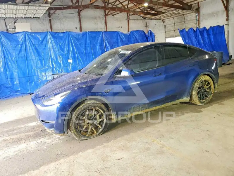 2021 Tesla Model Y фото