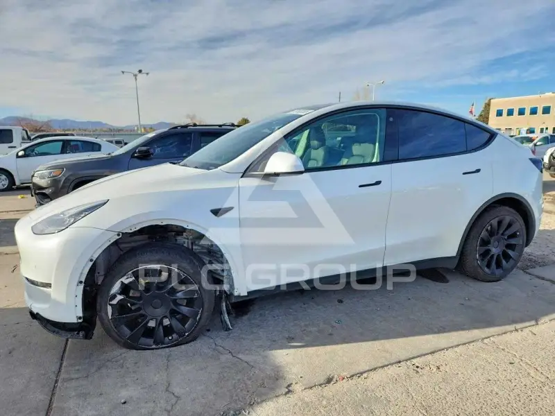 2021 Tesla Model Y фото