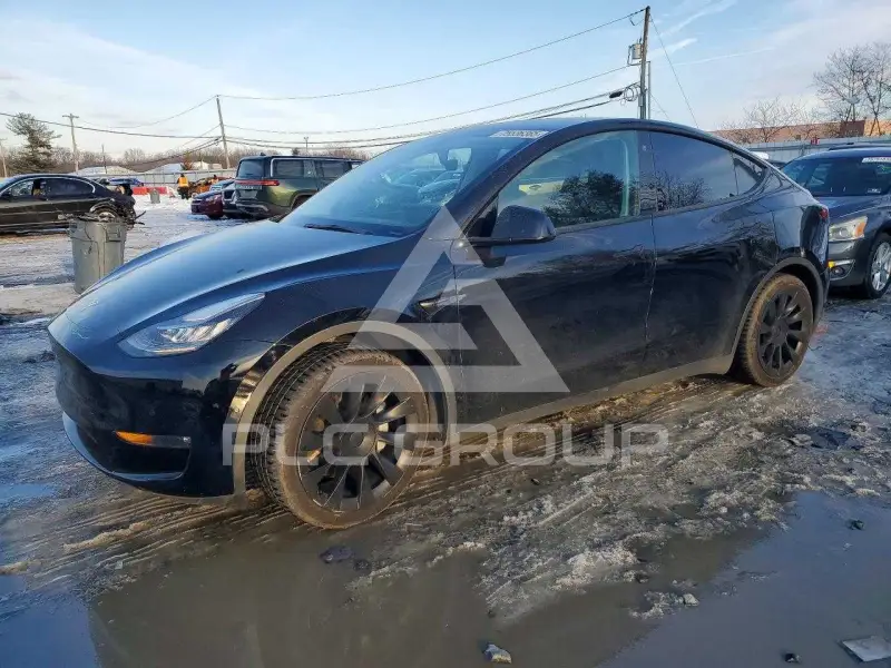 2021 Tesla Model Y фото