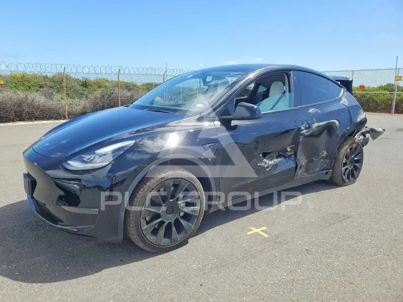 2021 Tesla Model Y фото