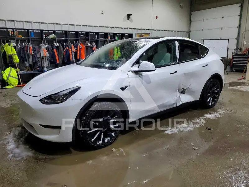 2021 Tesla Model Y фото