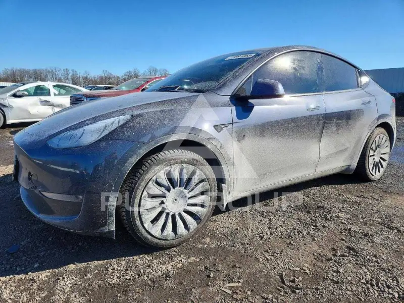 2021 Tesla Model Y фото