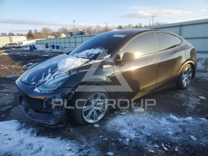 2021 Tesla Model Y фото