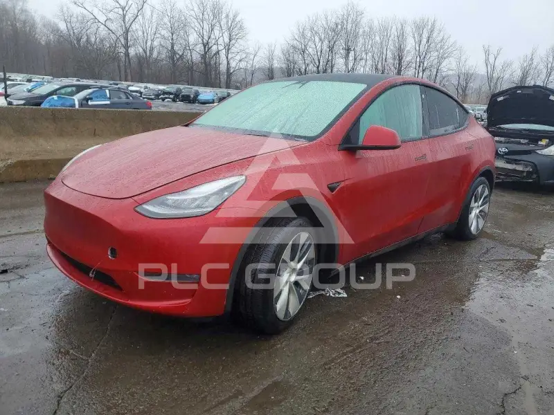 2021 Tesla Model Y photo