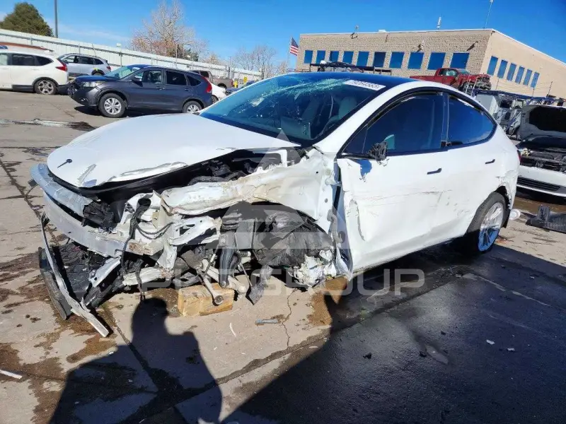 2021 Tesla Model Y фото