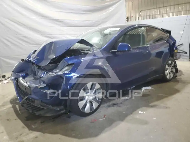 2021 Tesla Model Y фото