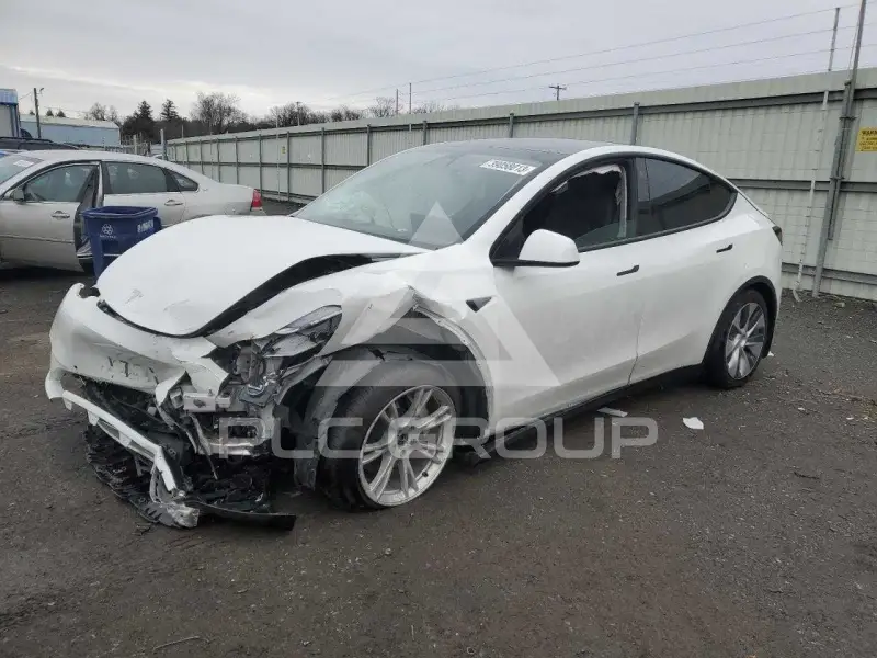 2021 Tesla Model Y photo