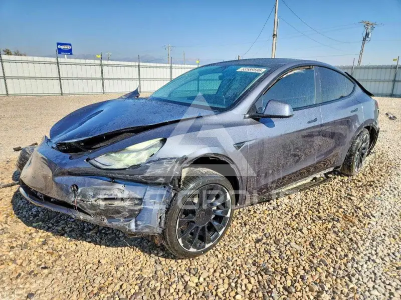 2021 Tesla Model Y photo