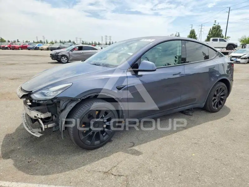 2021 Tesla Model Y фото