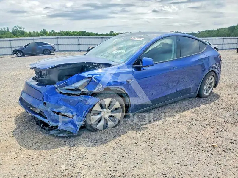 2021 Tesla Model Y photo