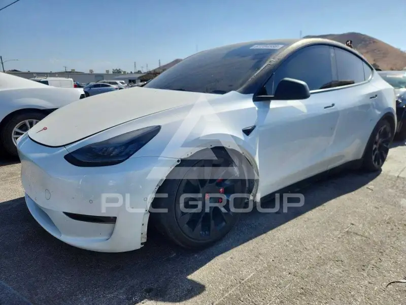 2021 Tesla Model Y photo