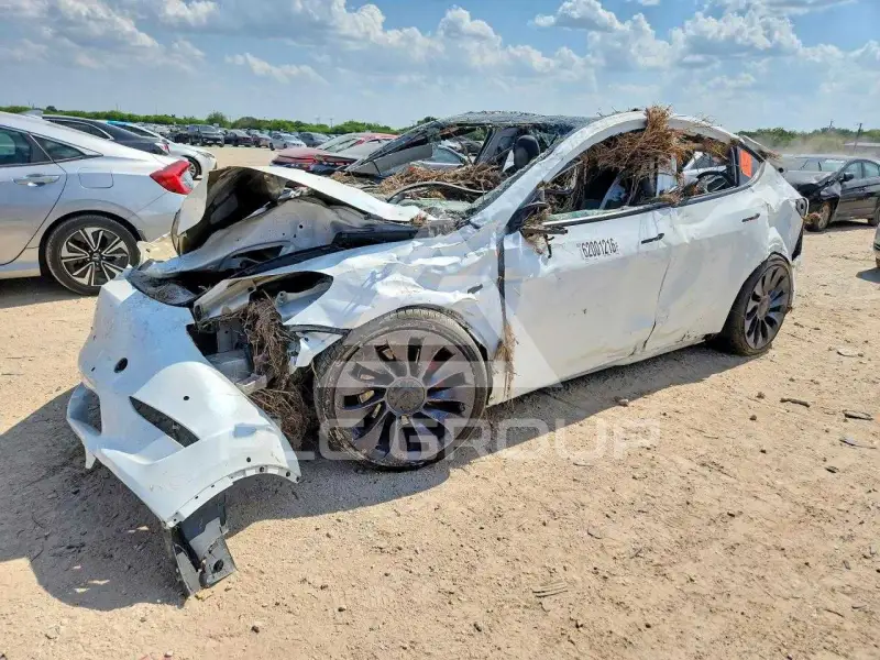 2021 Tesla Model Y photo