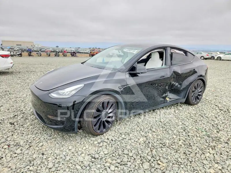 2021 Tesla Model Y фото