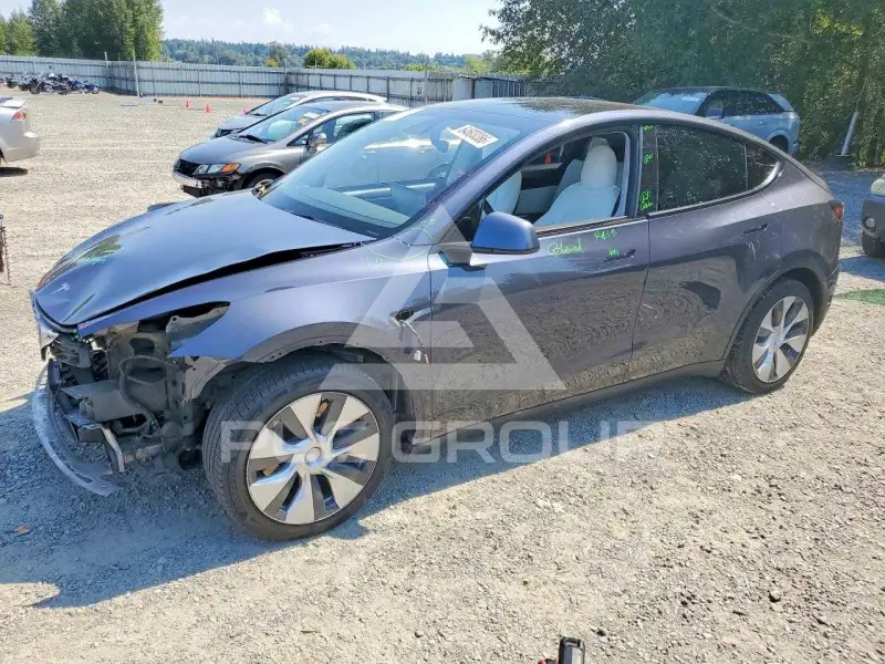 2021 Tesla Model Y фото