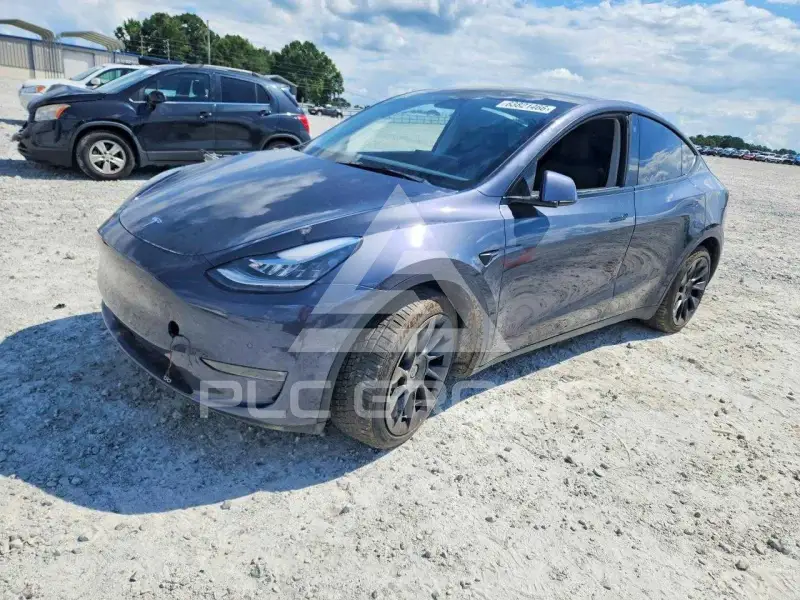2021 Tesla Model Y photo
