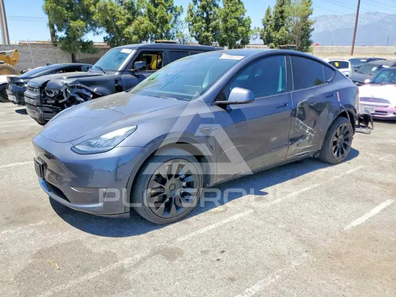 2021 Tesla Model Y фото
