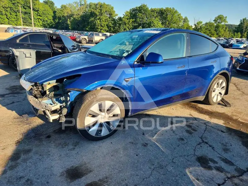 2021 Tesla Model Y photo