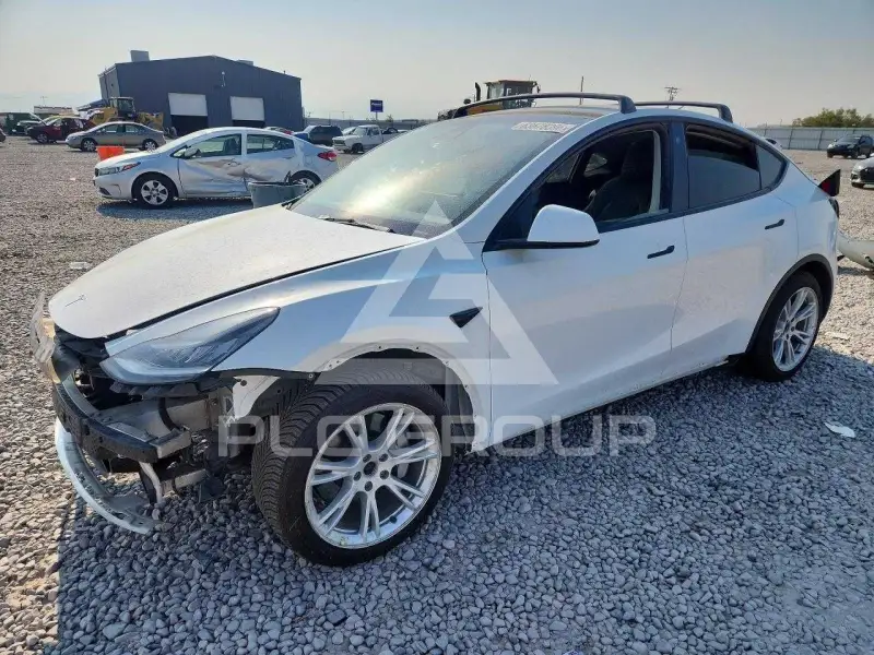 2021 Tesla Model Y photo