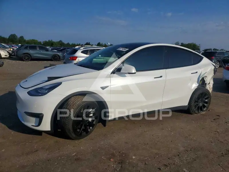 2021 Tesla Model Y photo