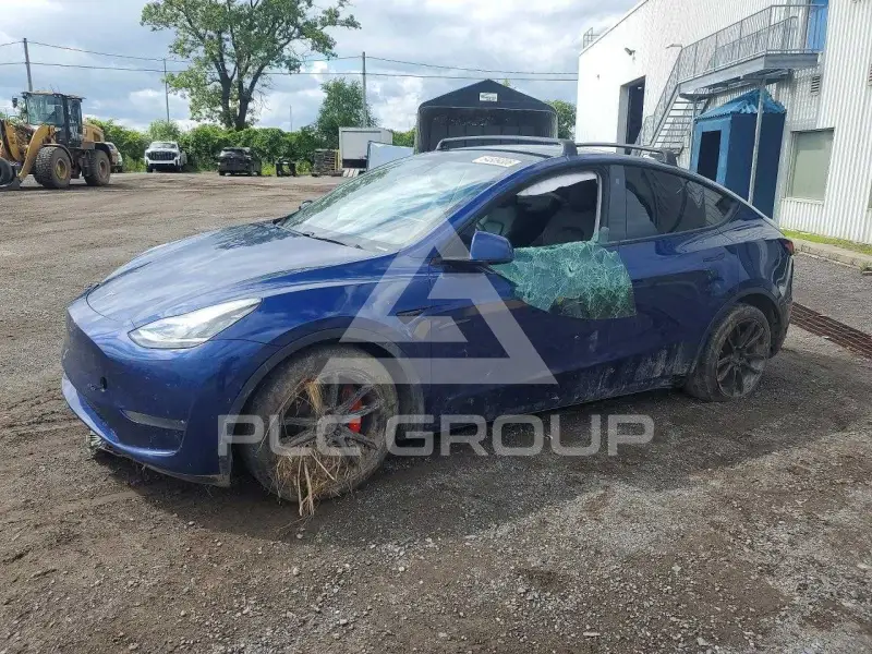 2021 Tesla Model Y photo