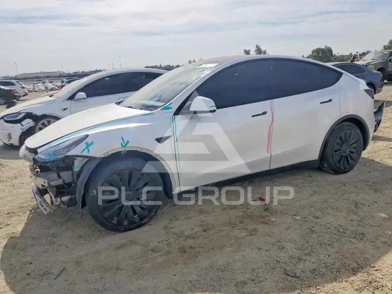 2021 Tesla Model Y photo