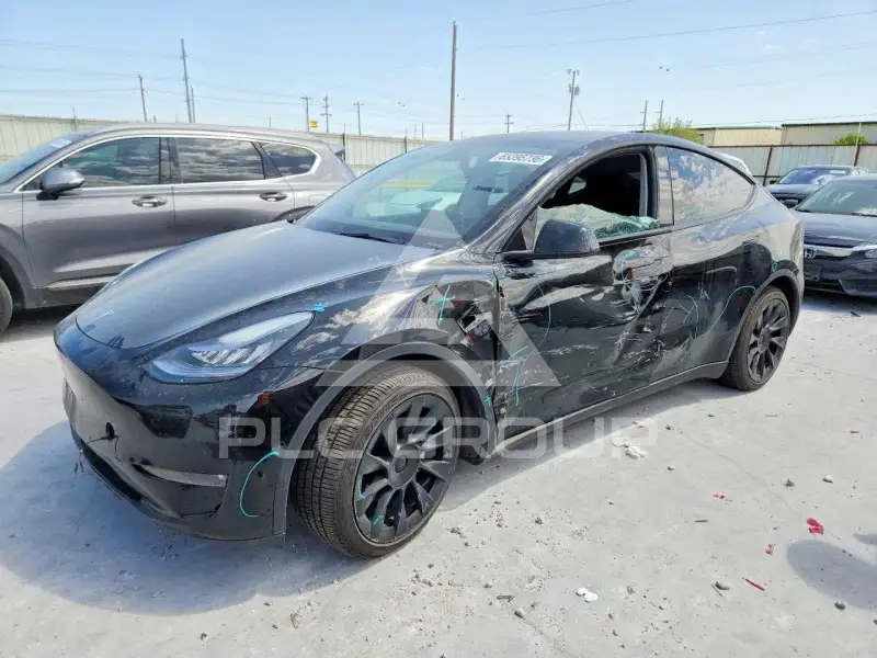 2021 Tesla Model Y photo