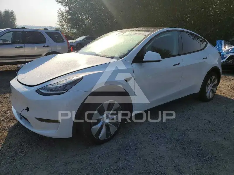 2021 Tesla Model Y фото