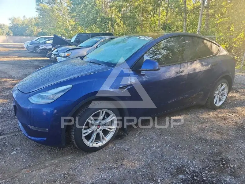 2021 Tesla Model Y фото