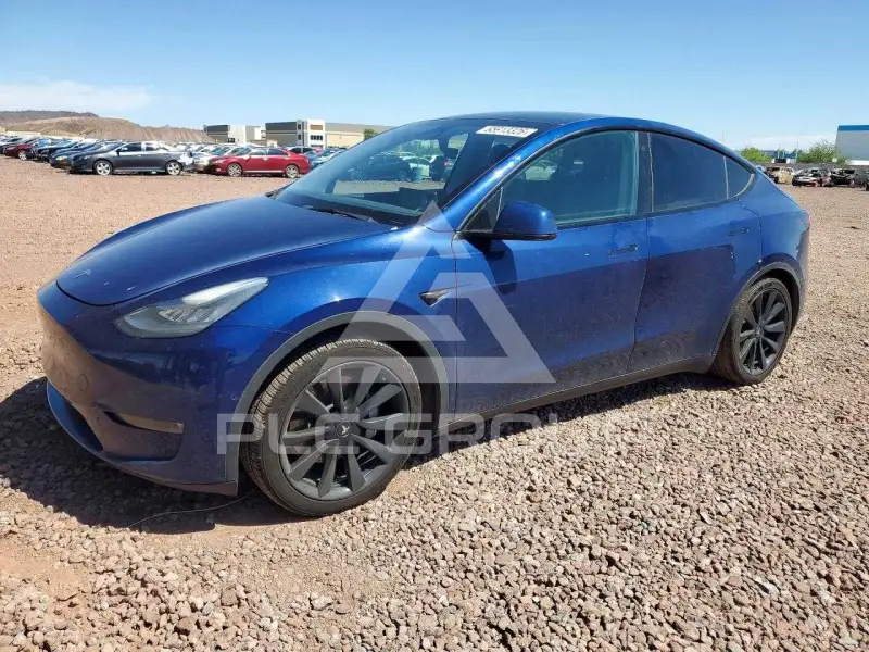 2021 Tesla Model Y фото
