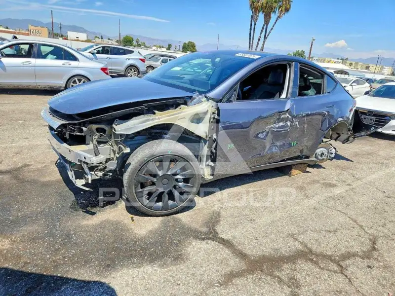 2021 Tesla Model Y фото