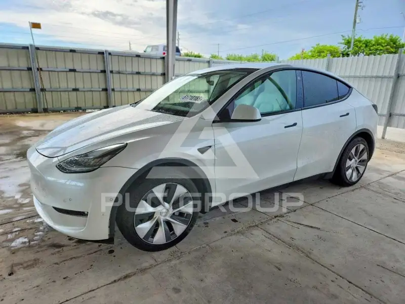 2021 Tesla Model Y фото