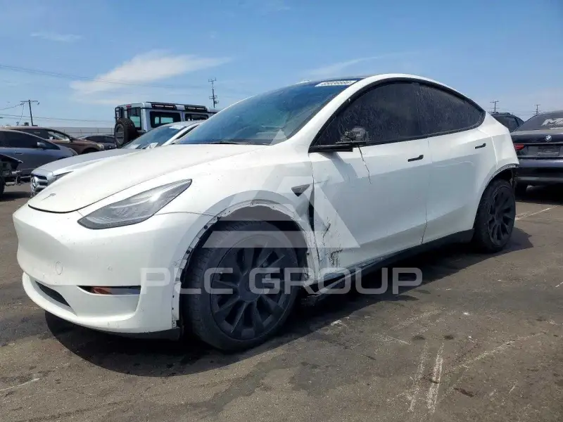 2021 Tesla Model Y фото