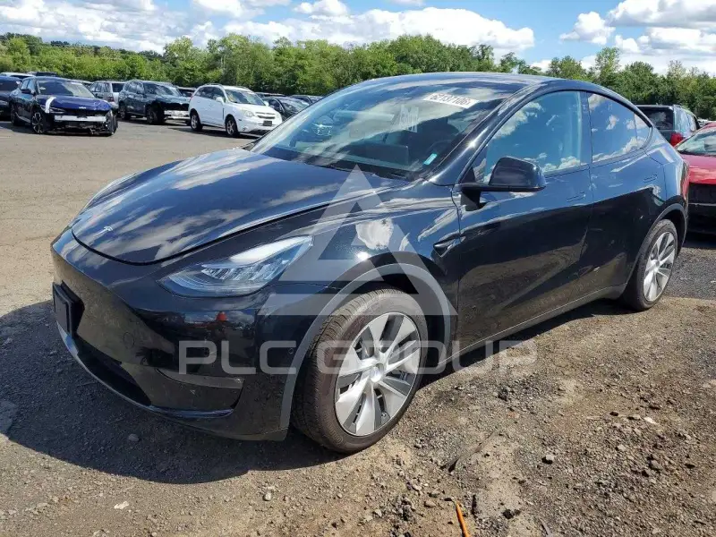 2021 Tesla Model Y photo