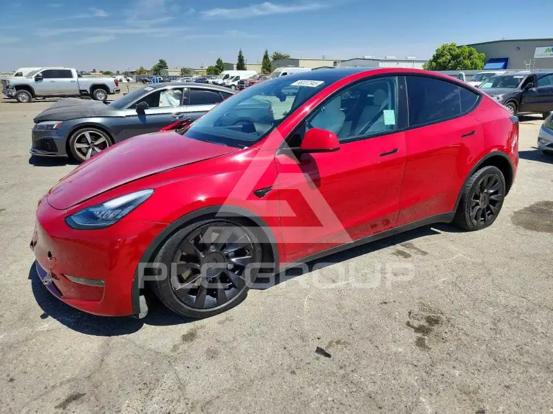 2021 Tesla Model Y фото