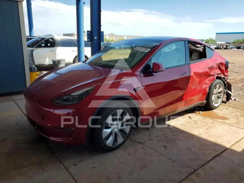2021 Tesla Model Y фото