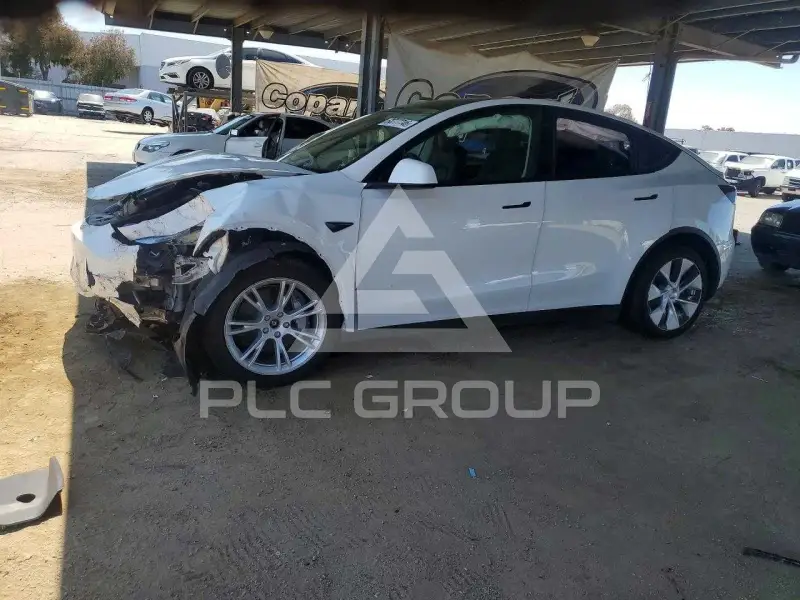 2021 Tesla Model Y фото